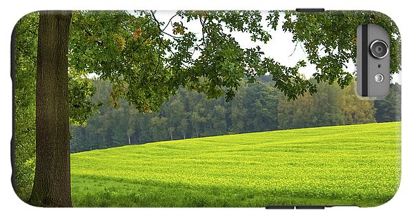 Splendid View In Autumn - Phone Case