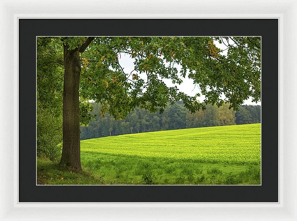 Splendid View In Autumn - Framed Print