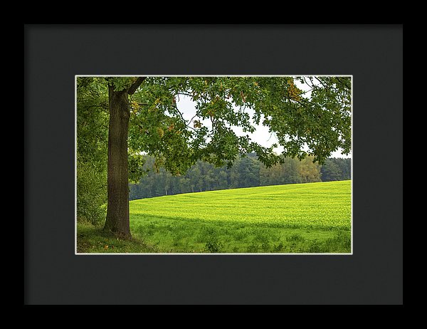 Splendid View In Autumn - Framed Print