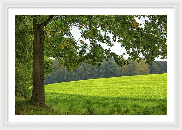 Splendid View In Autumn - Framed Print