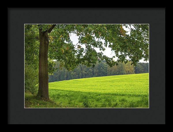 Splendid View In Autumn - Framed Print