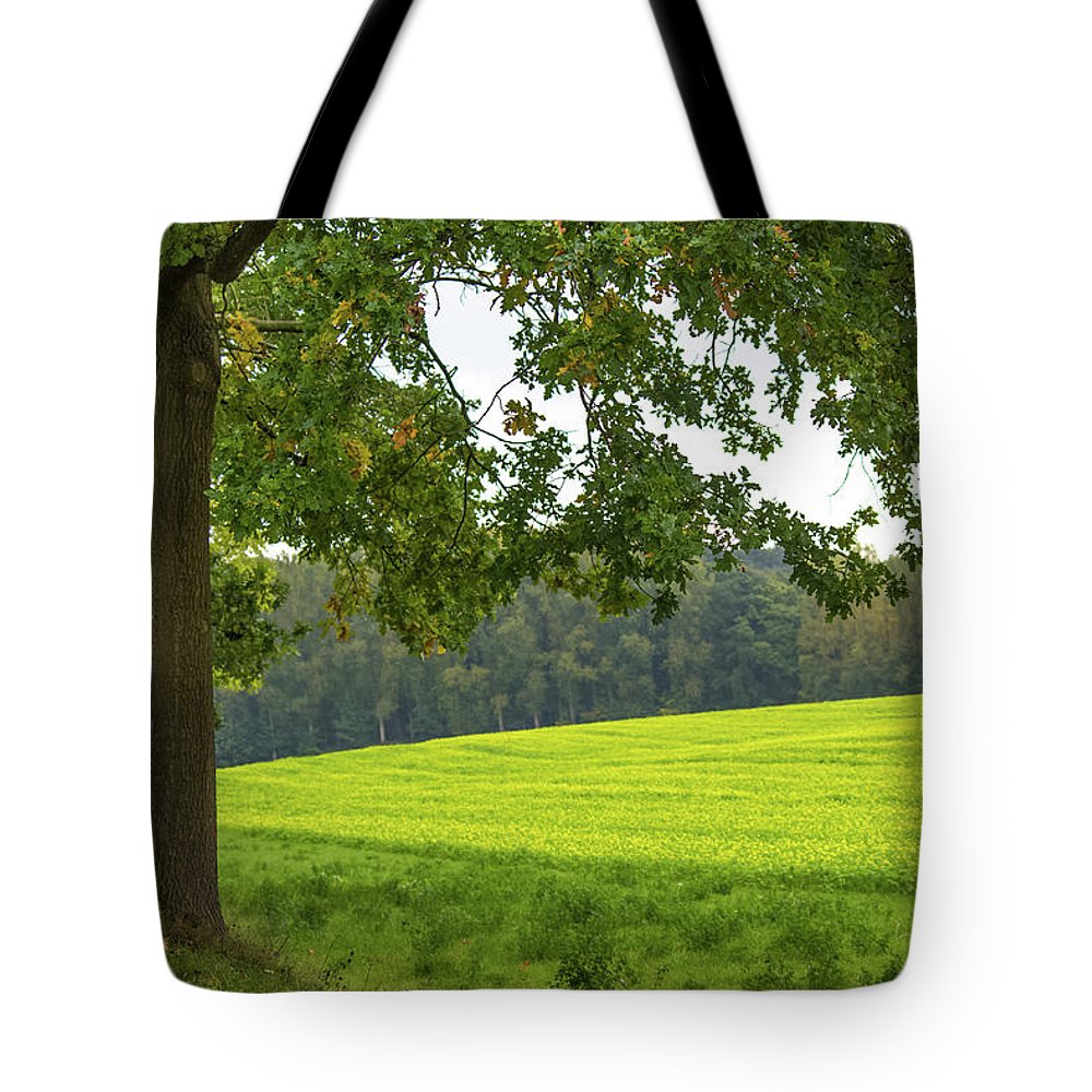 Splendid View In Autumn - Tote Bag