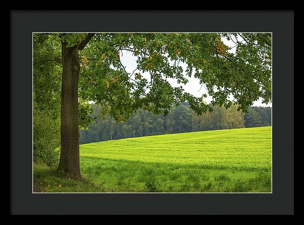 Splendid View In Autumn - Framed Print