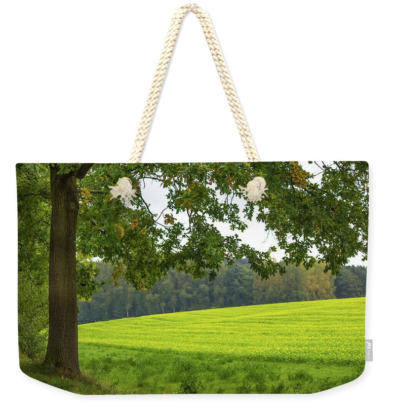 Splendid View In Autumn - Weekender Tote Bag