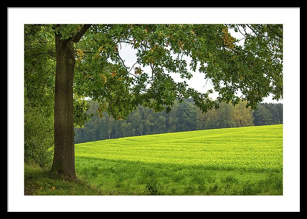 Splendid View In Autumn - Framed Print