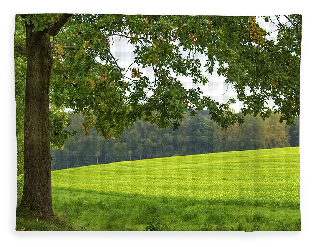 Splendid View In Autumn - Blanket