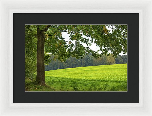 Splendid View In Autumn - Framed Print