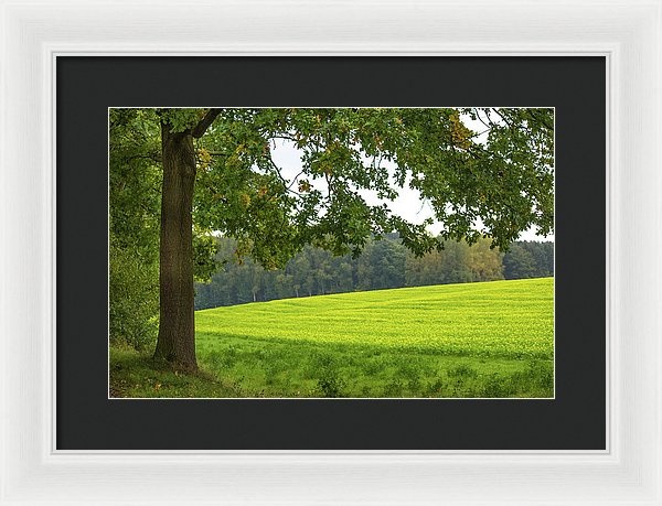 Splendid View In Autumn - Framed Print