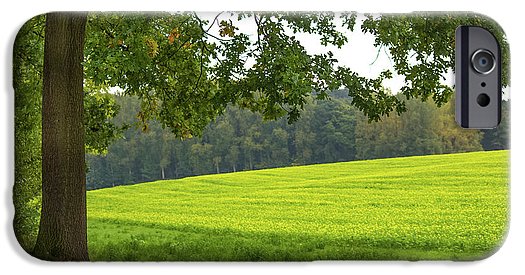 Splendid View In Autumn - Phone Case