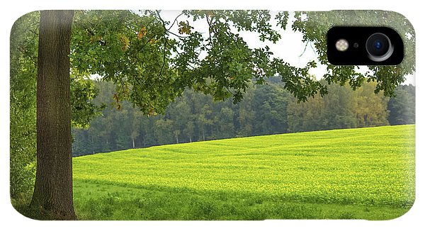 Splendid View In Autumn - Phone Case