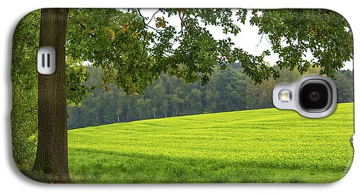 Splendid View In Autumn - Phone Case