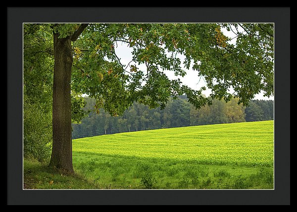 Splendid View In Autumn - Framed Print