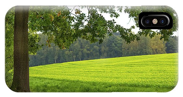 Splendid View In Autumn - Phone Case