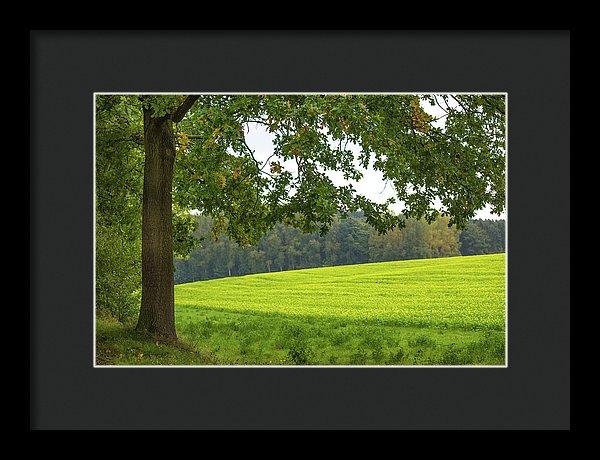 Splendid View In Autumn - Framed Print