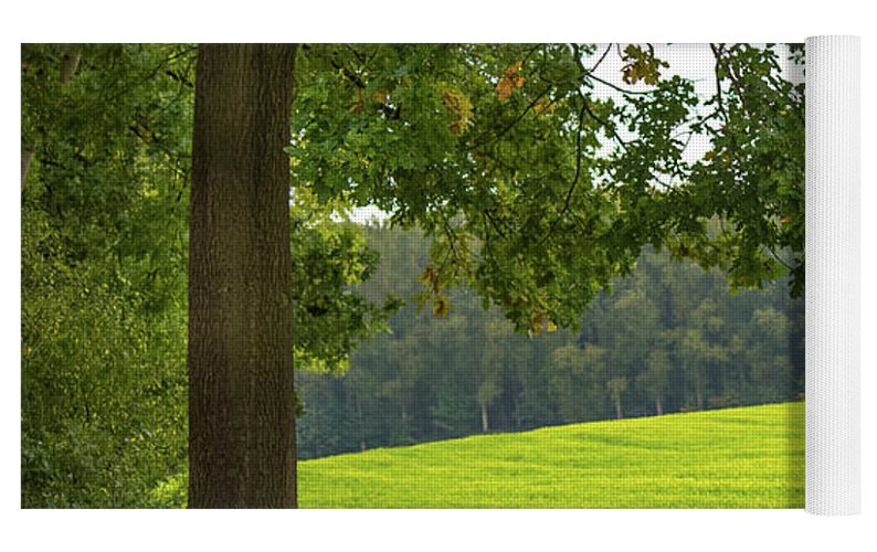 Splendid View In Autumn - Yoga Mat