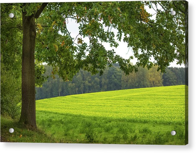 Splendid View In Autumn - Acrylic Print