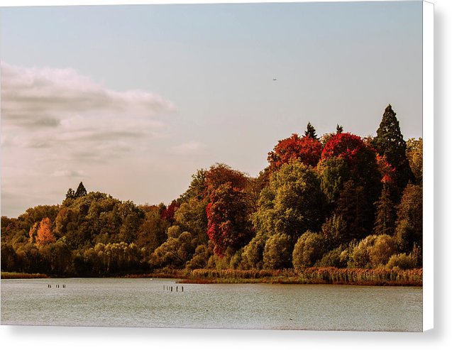 Stunning Surroundings In La Hulpe, Belgium - Canvas Print