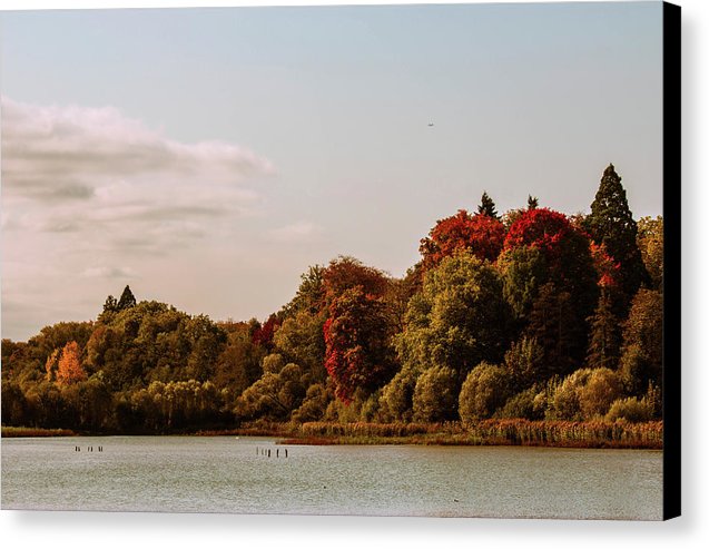 Stunning Surroundings In La Hulpe, Belgium - Canvas Print