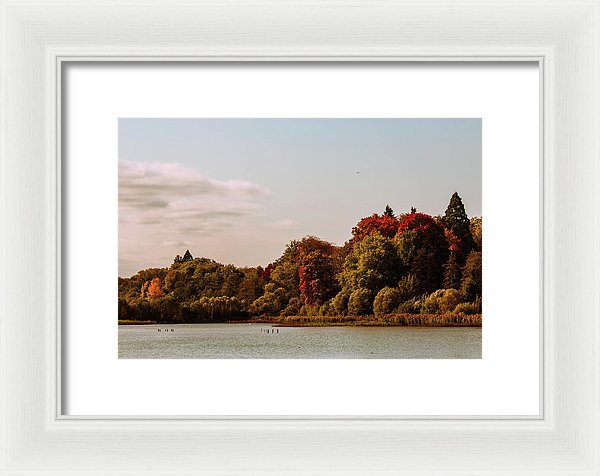 Stunning Surroundings In La Hulpe, Belgium - Framed Print