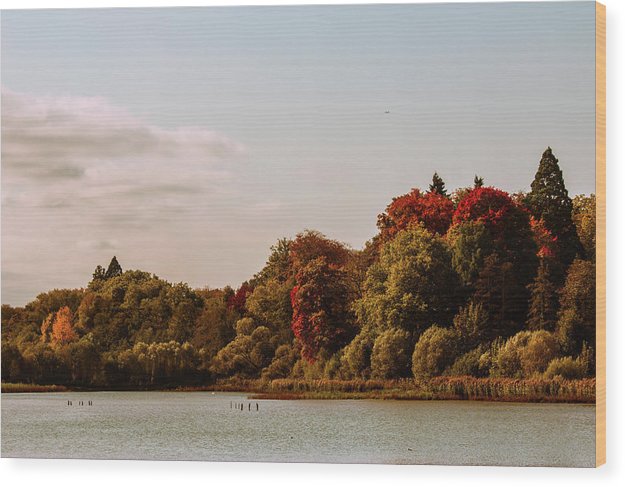 Stunning Surroundings In La Hulpe, Belgium - Wood Print