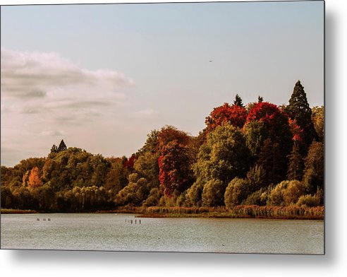 Stunning Surroundings In La Hulpe, Belgium - Metal Print