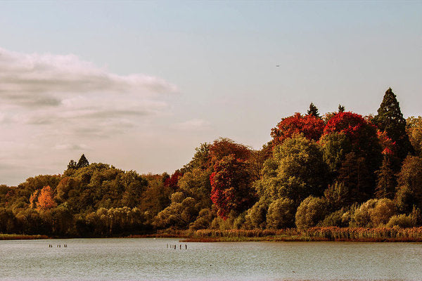 Stunning Surroundings In La Hulpe, Belgium - Art Print