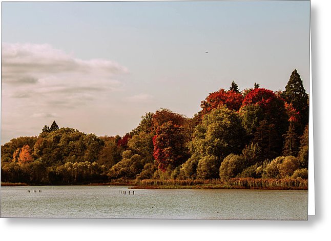 Stunning Surroundings In La Hulpe, Belgium - Greeting Card