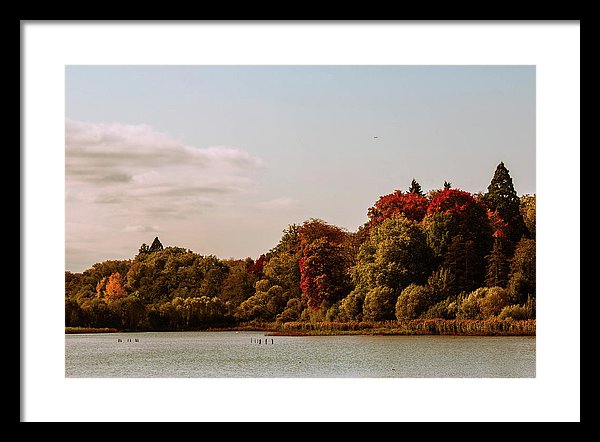 Stunning Surroundings In La Hulpe, Belgium - Framed Print