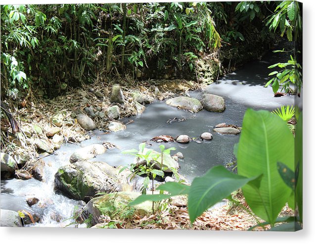 Sulphur Spring - Canvas Print