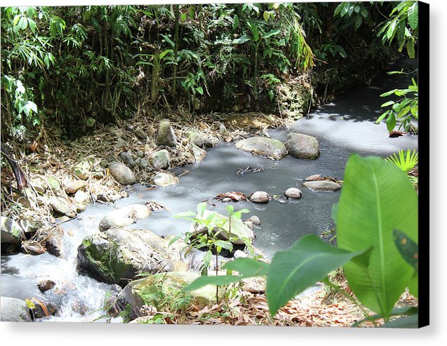 Sulphur Spring - Canvas Print