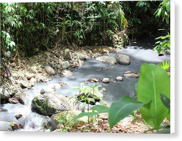 Sulphur Spring - Canvas Print