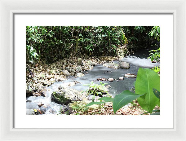 Sulphur Spring - Framed Print