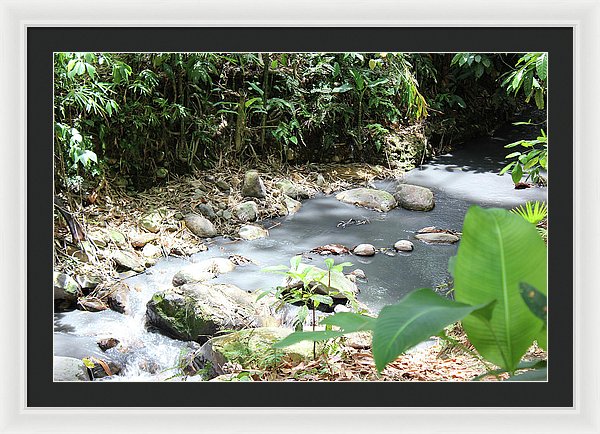 Sulphur Spring - Framed Print