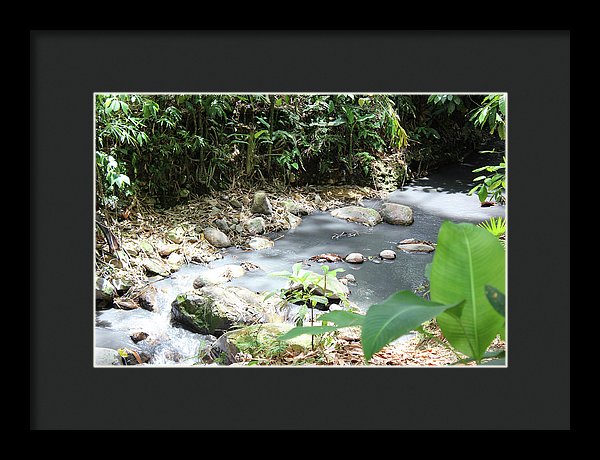 Sulphur Spring - Framed Print