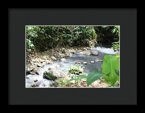 Sulphur Spring - Framed Print