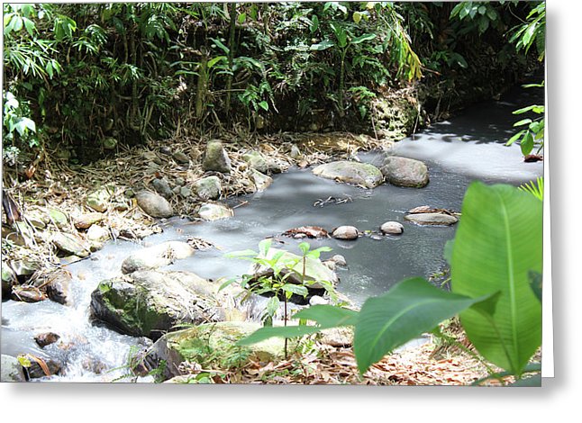 Sulphur Spring - Greeting Card