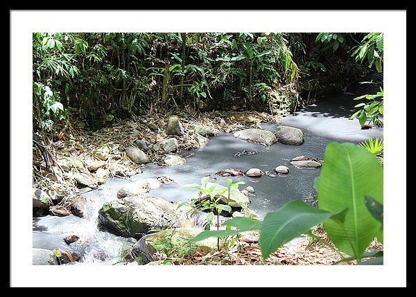 Sulphur Spring - Framed Print