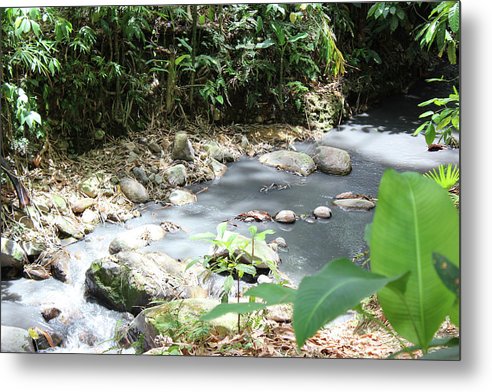 Sulphur Spring - Metal Print