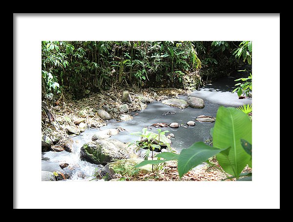 Sulphur Spring - Framed Print