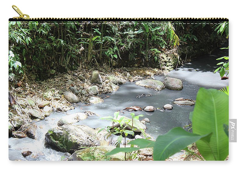 Sulphur Spring - Carry-All Pouch