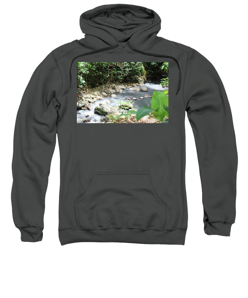 Sulphur Spring - Sweatshirt