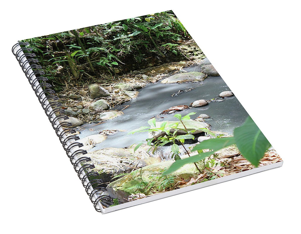 Sulphur Spring - Spiral Notebook