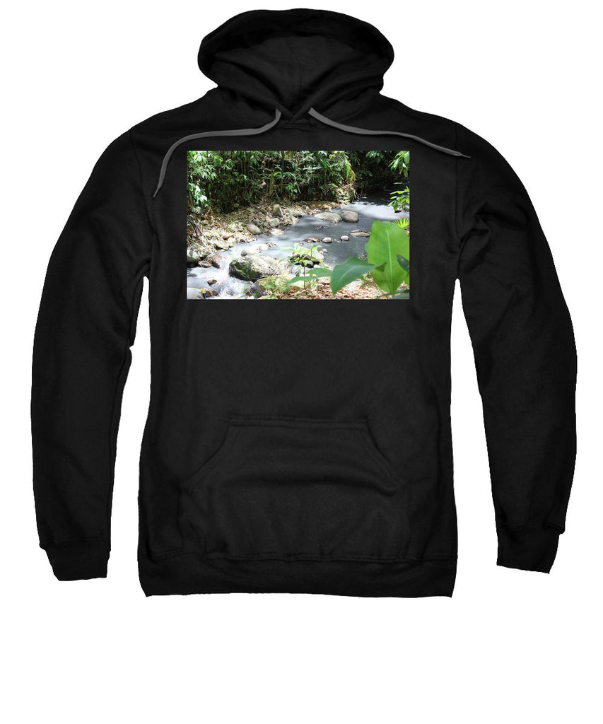 Sulphur Spring - Sweatshirt