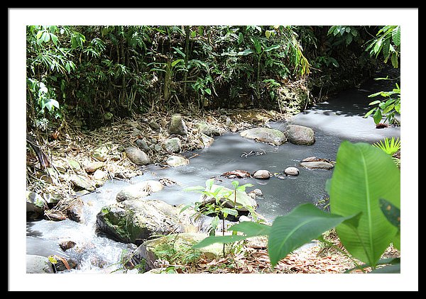 Sulphur Spring - Framed Print