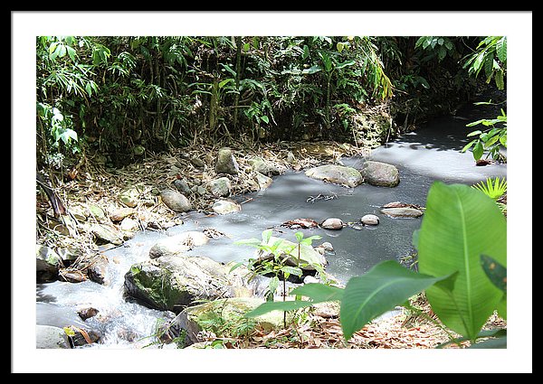 Sulphur Spring - Framed Print