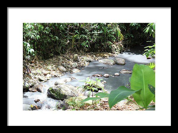 Sulphur Spring - Framed Print