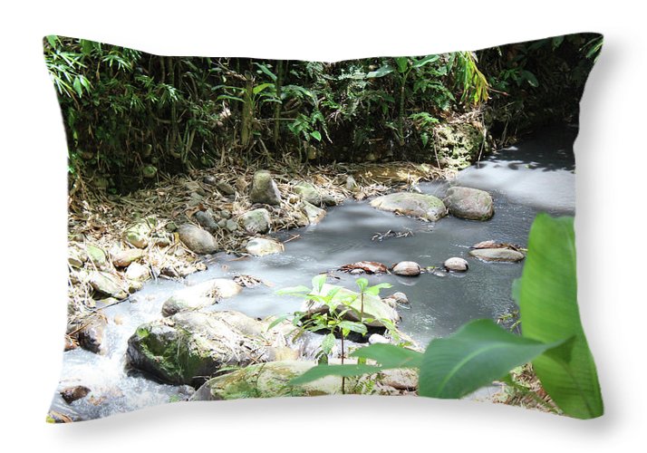 Sulphur Spring - Throw Pillow