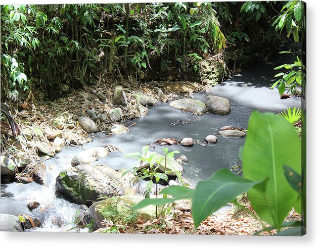 Sulphur Spring - Acrylic Print