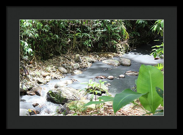 Sulphur Spring - Framed Print