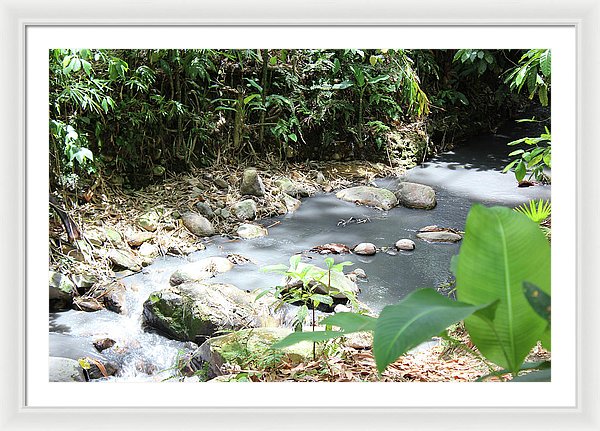 Sulphur Spring - Framed Print